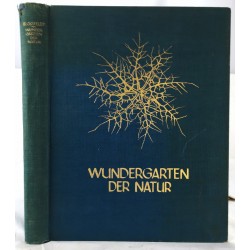 Wundergarten Der Natur, Neue Bilddokumente Schoner Pflanzenformen